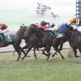 【武田の日曜競馬コラム・フローラＳ】