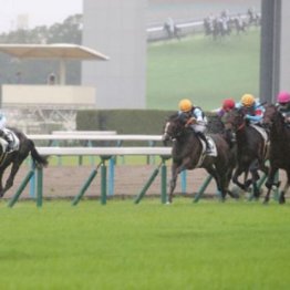 【橘の日曜競馬コラム・フローラＳ】