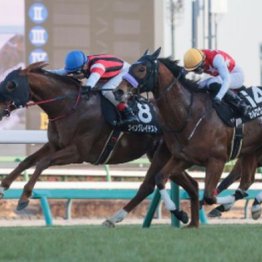 【福島本紙・市川の日曜福島11Ｒ】