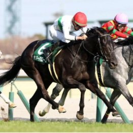 【東京本紙・外山の日曜東京９Ｒ】