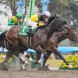 【東京本紙・外山の日曜東京10Ｒ】