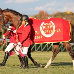 【マイラーズＣ】アドマイヤズーム自在性で他馬を圧倒