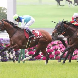 【マイラーズＣ】２歳ＧⅠ馬アドマイヤズームが復活Ｖ