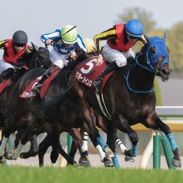 東京はＳＳ系の瞬発力、京都はロベルト系持続力が求められた開幕週