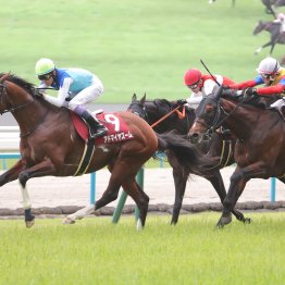 東京はＳＳ系の瞬発力、京都はロベルト系持続力が求められた開幕週