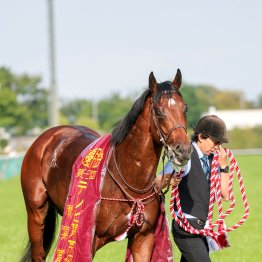東京はＳＳ系の瞬発力、京都はロベルト系持続力が求められた開幕週