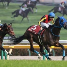 【フローラＳ】昨年に続いてオークス馬が出るか　上がり３３秒６を差し切ったラフターラインズに主流一蹴の期待