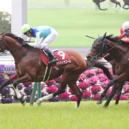 【マイラーズＣ】武豊１９年ぶりに２日連続重賞ＶでＧⅠシリーズへ