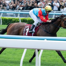 【香港チャンピオンズデー】分かってはいたことだが現地ツートップが強すぎる！