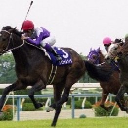 皆さんがよく使っている言い回し、実は競馬用語から来ているんです