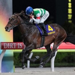 【羽田盃】ロックターミガンが１冠目奪取だ