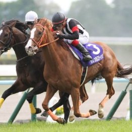 【天皇賞・春】①着は上位人気で、ヒモ穴にベテラン勢を狙え！