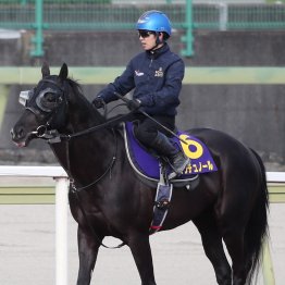 【天皇賞・春】クロワデュノールＧⅠ連勝へ