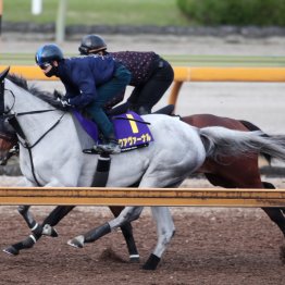 【天皇賞・春】アクアヴァーナル　リズムのいい走りで１Ｆ１１秒４