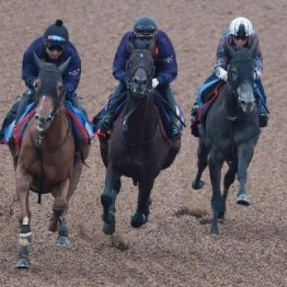 【天皇賞・春】ヘデントール前走とは明らかにデキが違う