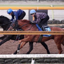 【天皇賞・春】クロワデュノールGⅠ連勝へ態勢整う