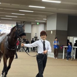 〈121〉オークス馬サンテミリオンを担当していた大西貴久調教助手（５）