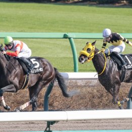 【ケンタッキーダービー】ダノンバーボン故郷に錦を飾れるか