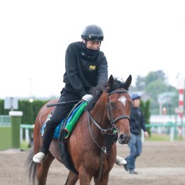 【京王杯スプリングＣ】ダノンセンチュリー一気の重賞取り目指す