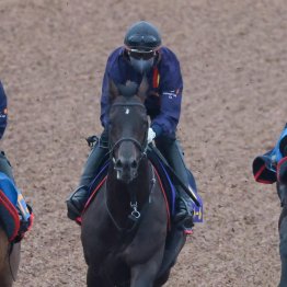 【天皇賞・春】３強それぞれの強みと弱み