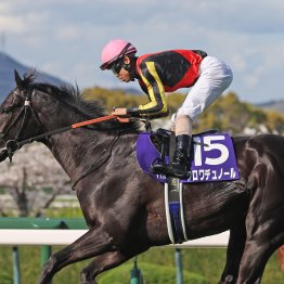 【天皇賞・春】３強それぞれの強みと弱み