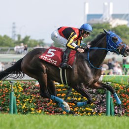 レースレコードタイの青葉賞より…