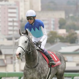 【天皇賞・春】アドマイヤテラ武豊が春の盾９勝目へ