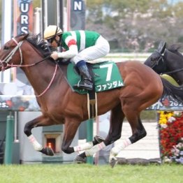 【市川の土曜競馬コラム・京王杯スプリングＣ】