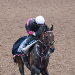 【新居の土曜競馬コラム・京王杯スプリングＣ】
