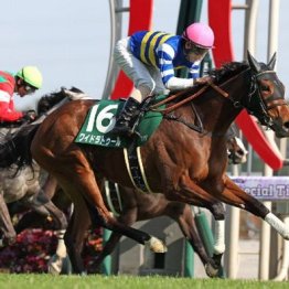 【大谷の土曜競馬コラム・京王杯スプリングＣ】