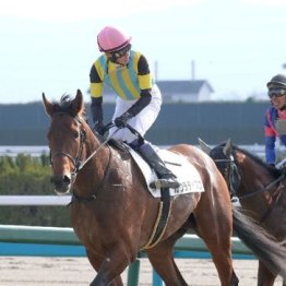 【武田の土曜競馬コラム・ユニコーンＳ】