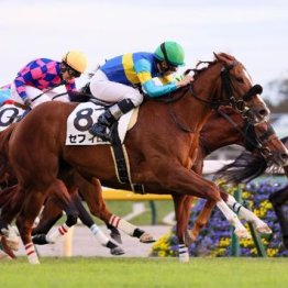 【橘の土曜競馬コラム・京王杯スプリングＣ】