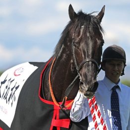【市川の日曜競馬コラム・天皇賞】