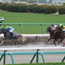 【新潟本紙・市川の日曜新潟11Ｒ】