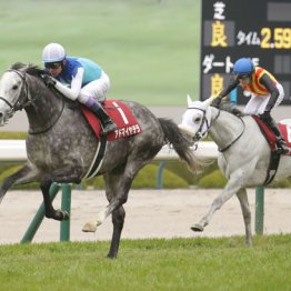 【天皇賞】個人的に２強戦　◎クロワデュノール、○アドマイヤテラとの３連単20点だ