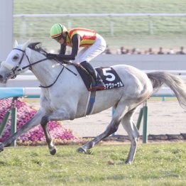 【天皇賞】◎クロワデュノール　○アクアヴァーナル　牝馬で一発