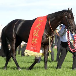 【天皇賞】◎クロワデュノール父子制覇へ　○ダガノデュード　末脚強烈、距離克服で浮上