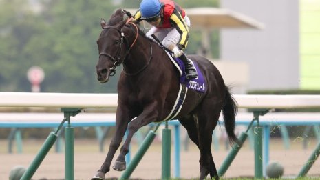 日刊スポーツ競馬新聞G1セット2021 日刊スポーツショッピング | 商品一覧