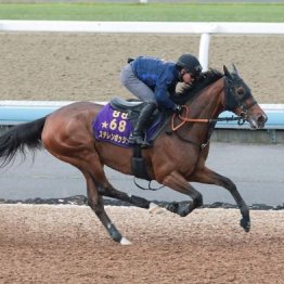 【新居の土曜競馬コラム・エプソムＣ】