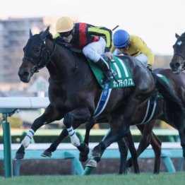 【武田の土曜競馬コラム・エプソムＣ】