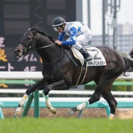 【橘の土曜競馬コラム・京都新聞杯】