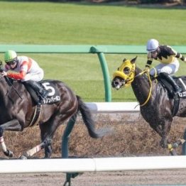 【東京本紙・外山の土曜東京10Ｒ】
