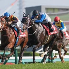 【市川の日曜競馬コラム・ＮＨＫマイルＣ】