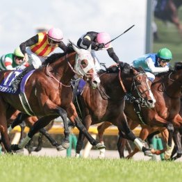 【ＮＨＫマイルＣ】①着ロデオドライブ、②着アスクイキゴミと８枠２頭の差し決着