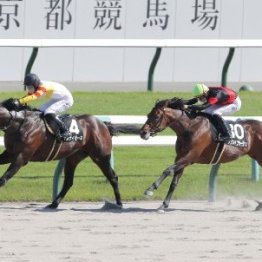【平城京Ｓ】２番人気テスティモーネが３勝クラスから連勝