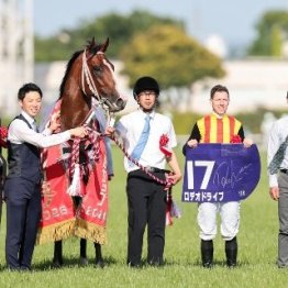 【ＮＨＫマイルＣ】レース後の談話（ネットオリジナルを含む）