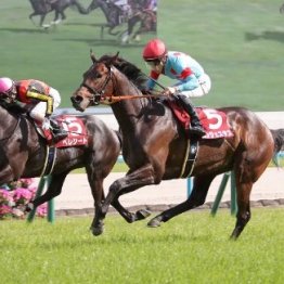 京都新聞杯は①②着どちらを上位に見るか