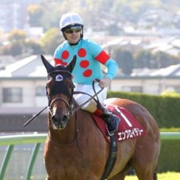 【ヴィクトリアマイル】エンブロイダリーＧⅠ３勝目へ