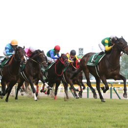 【新潟大賞典】逃げ、先行タイプが穴を出す