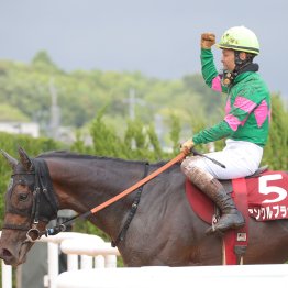 【京都ハイジャンプ】６頭が挑む 上って降りる京都しかない〝難関〟台形障害